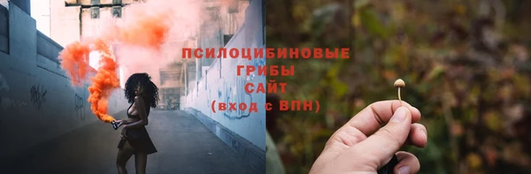 мяу мяу мука Алзамай