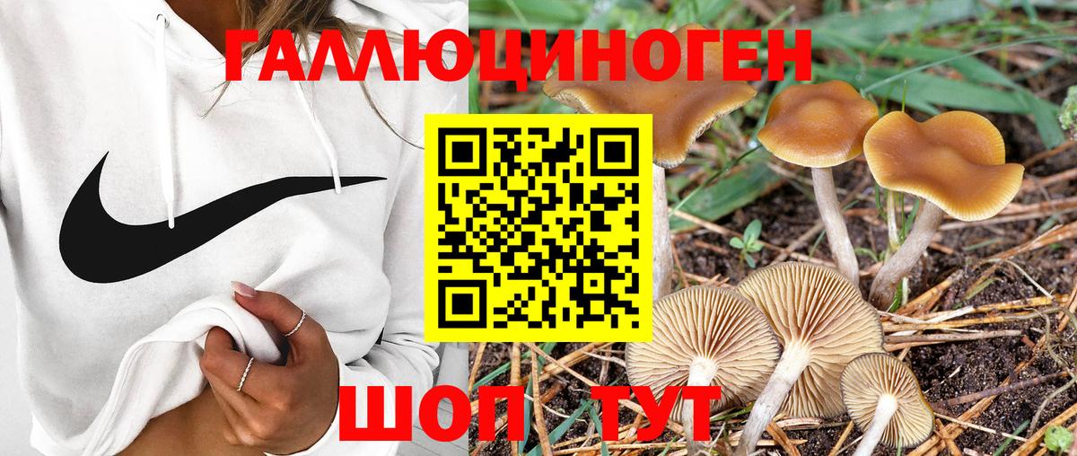 Псилоцибиновые грибы мухоморы  Псилоцибиновые грибы Psilocybine cubensis  Вход с VPN  Татарск 