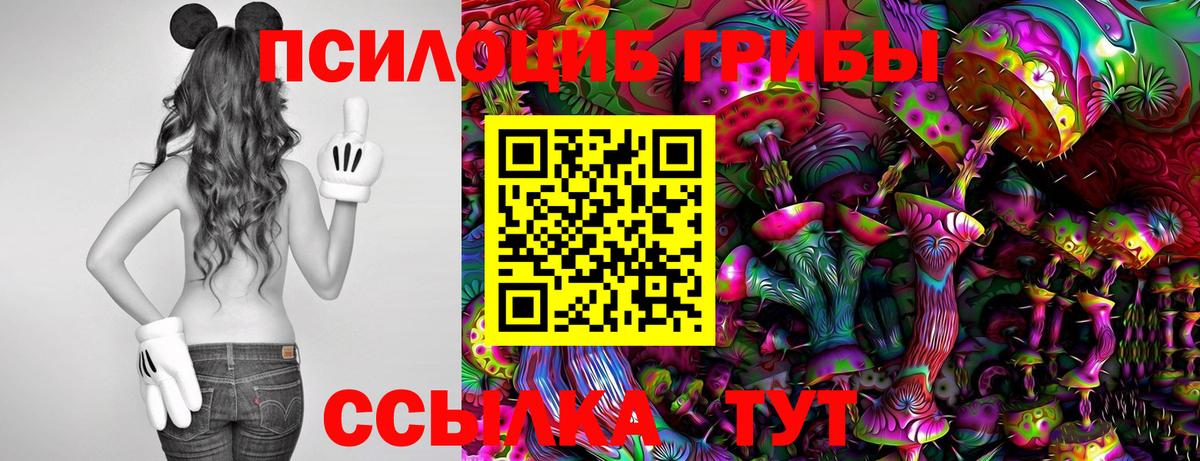 Галлюциногенные грибы ЛСД Татарск